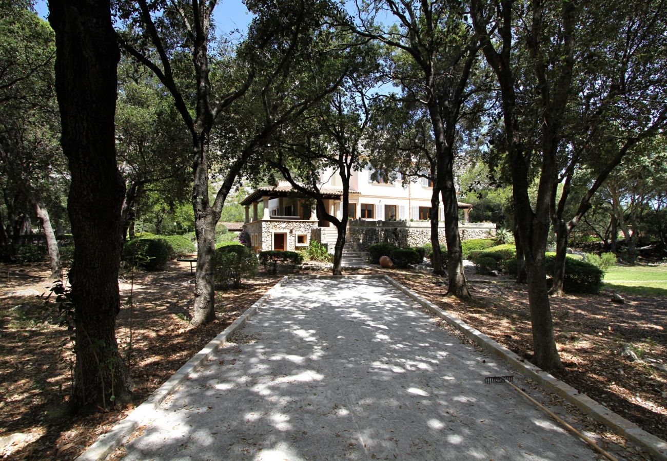 Villa in Pollensa - Encinar