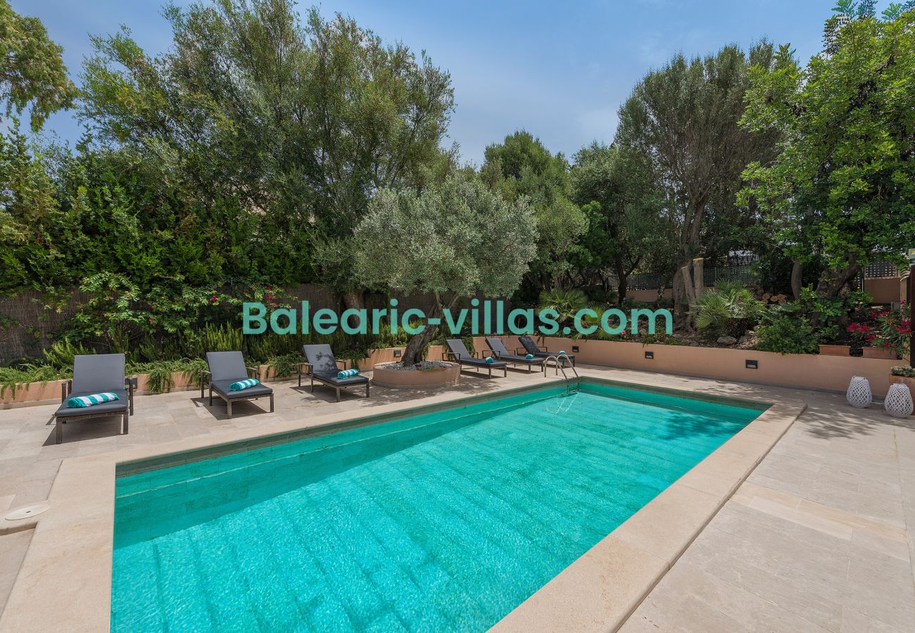 Villa in Alcudia - Villa Elvissa