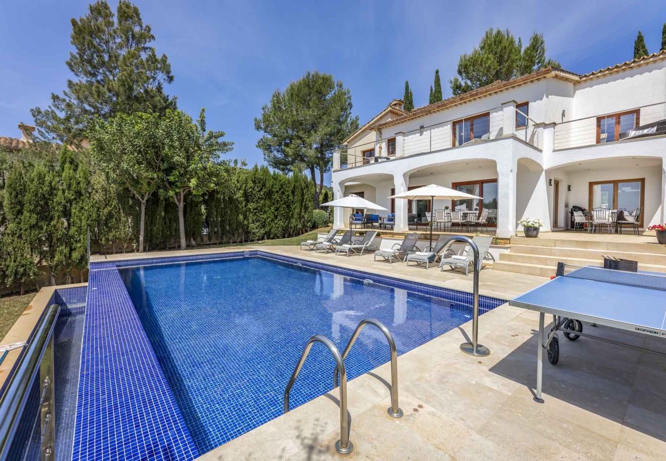 Villa in Pollensa - Villa Dario