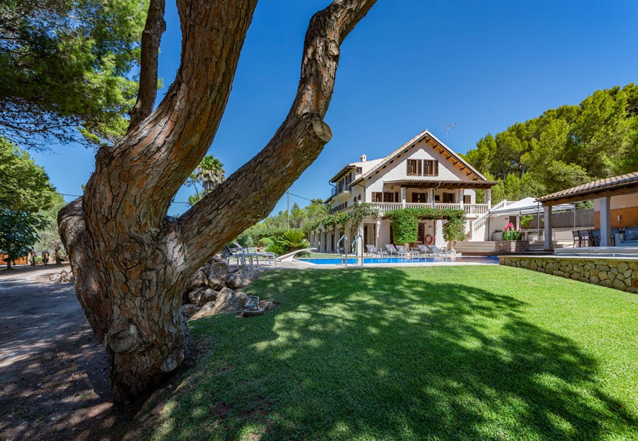 Villa in Alcudia - Mal Pas Beach