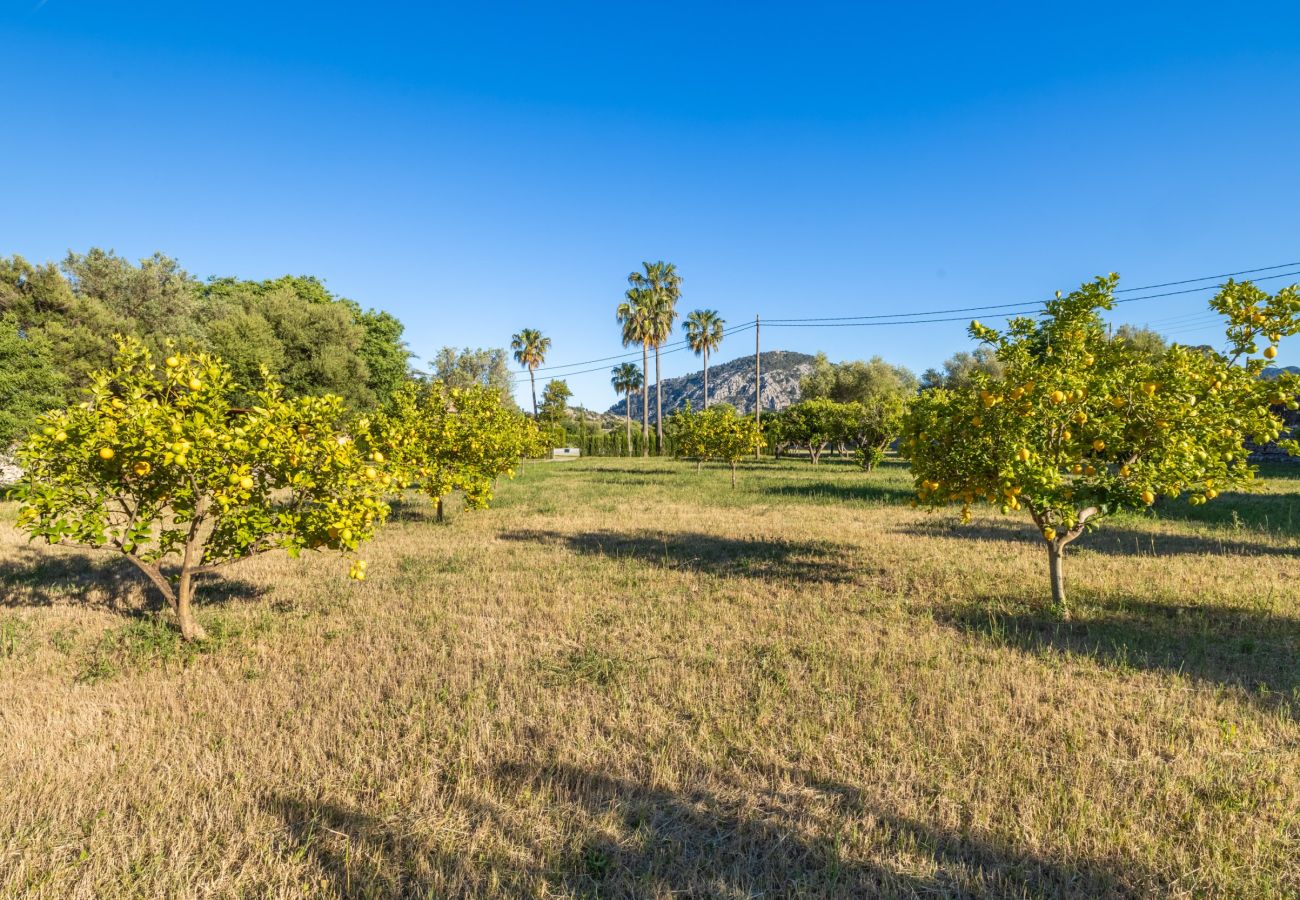 Villa in Pollensa - Can Corme