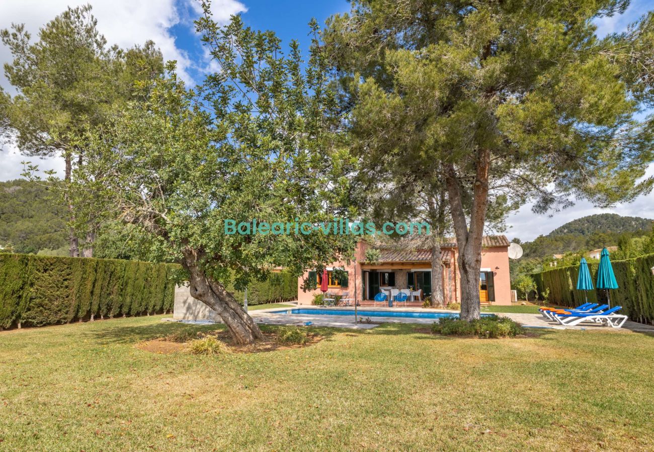 Villa in Pollensa - Villa Camarasa