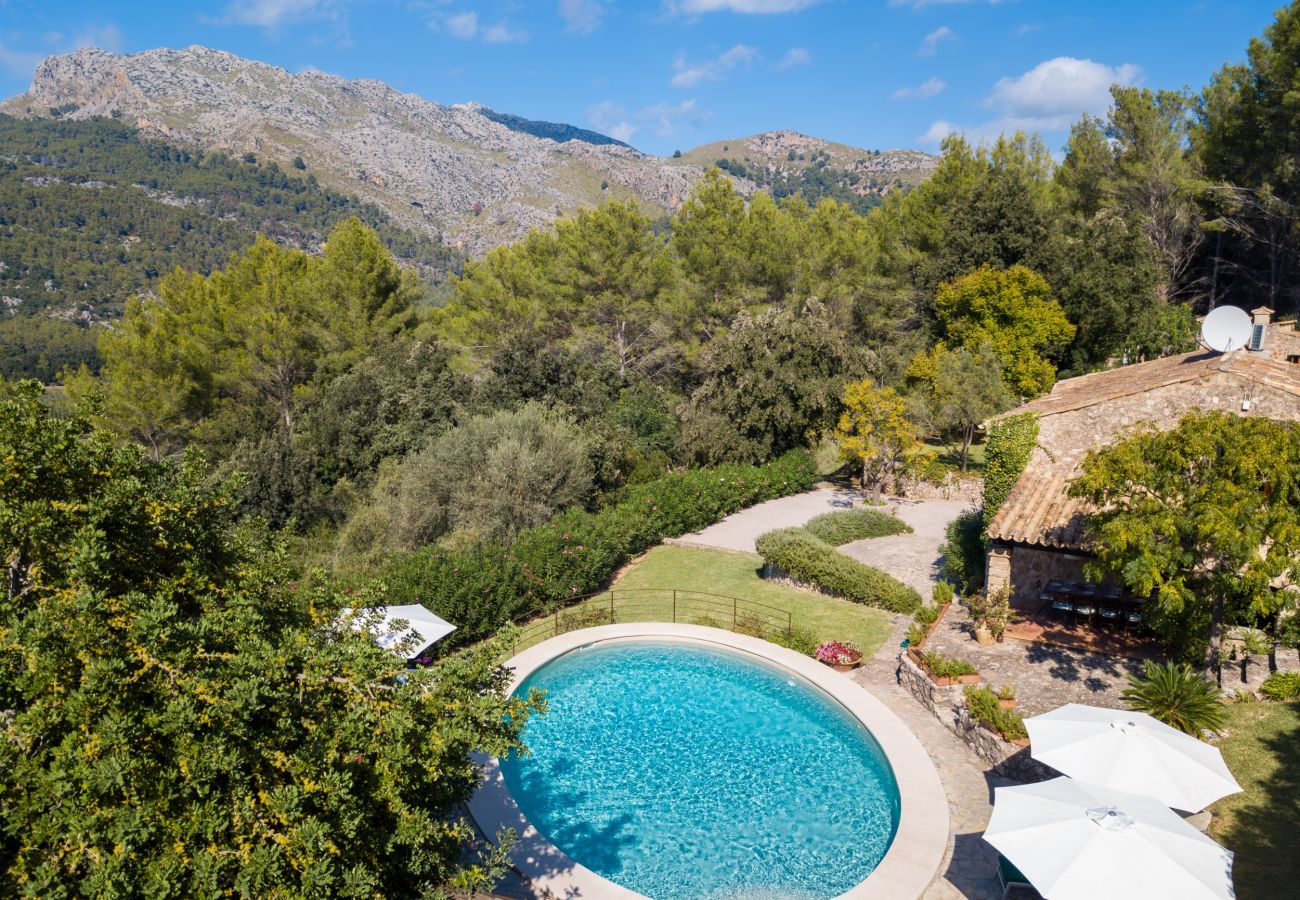 Villa in Pollensa - NEW! Can Picassa Tafona