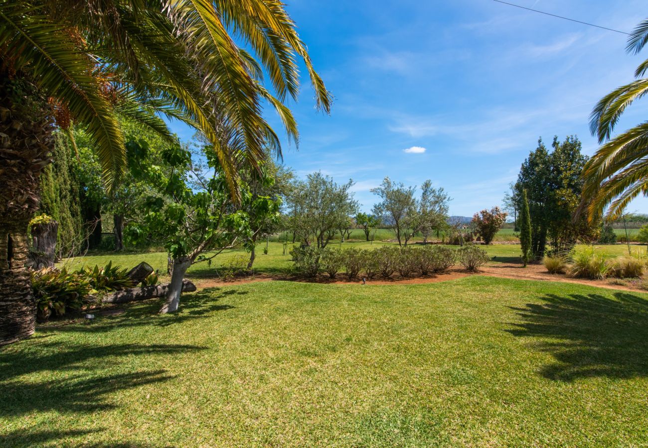 Villa in Pollensa - Finca Moliner Almadrava