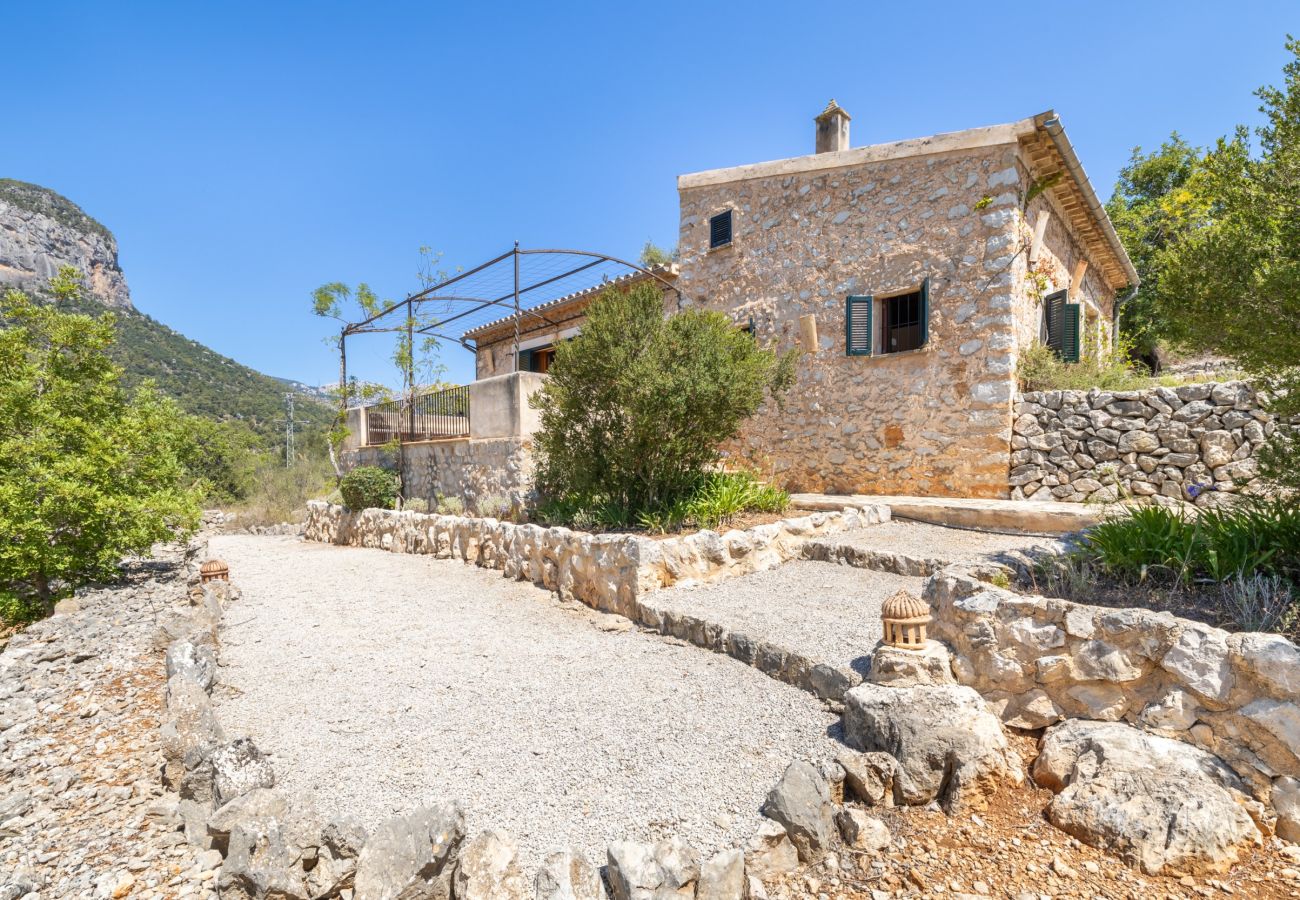 Villa in Alaro - Finca S'Oliva