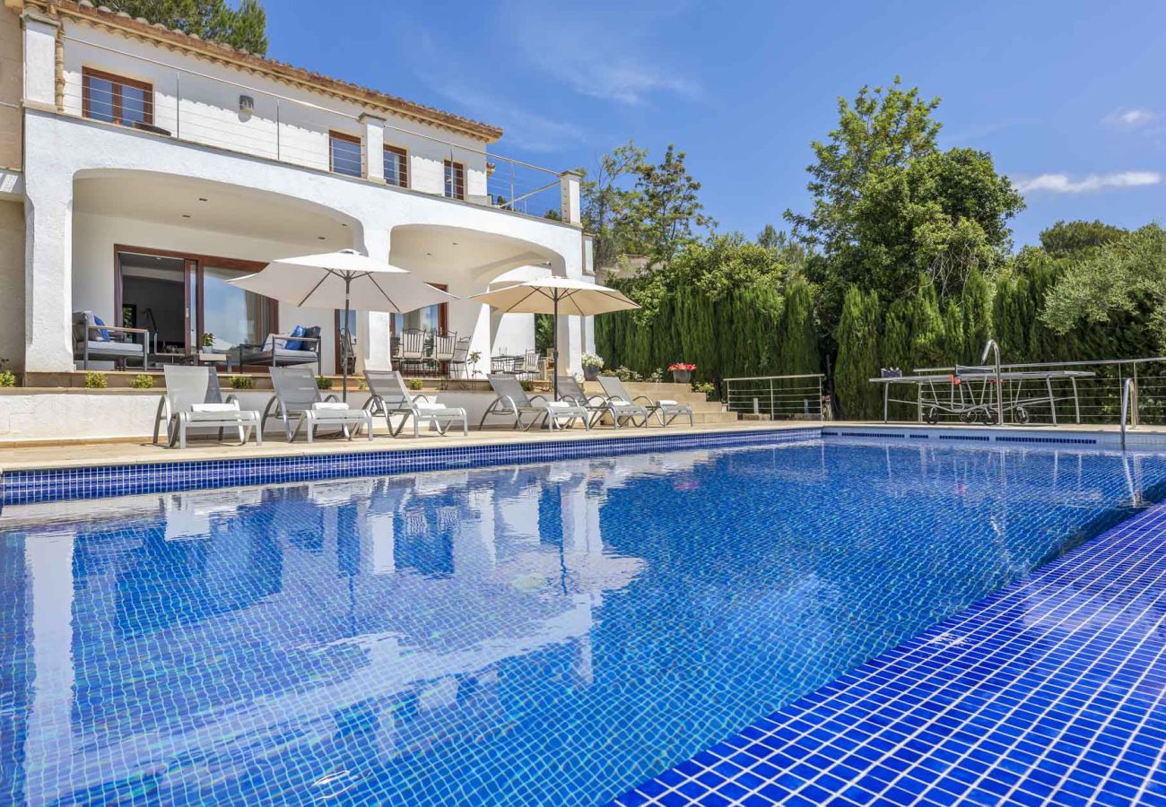 Villa in Pollensa - Villa Dario