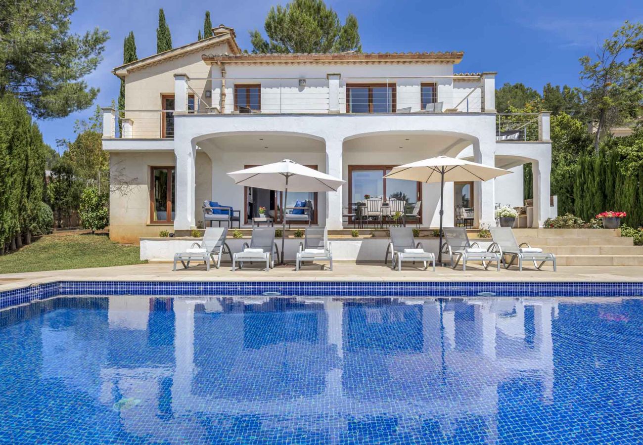 Villa in Pollensa - Villa Dario