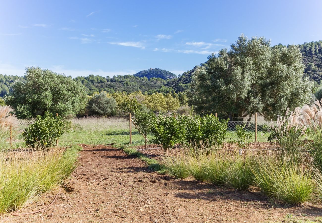 Villa in Pollensa - Can Pau