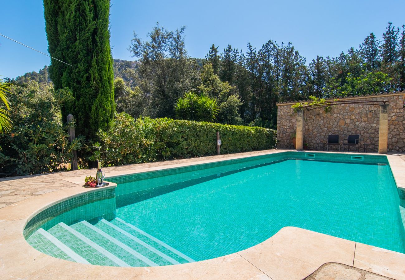 Villa in Pollensa - Finca Cal Llenyater