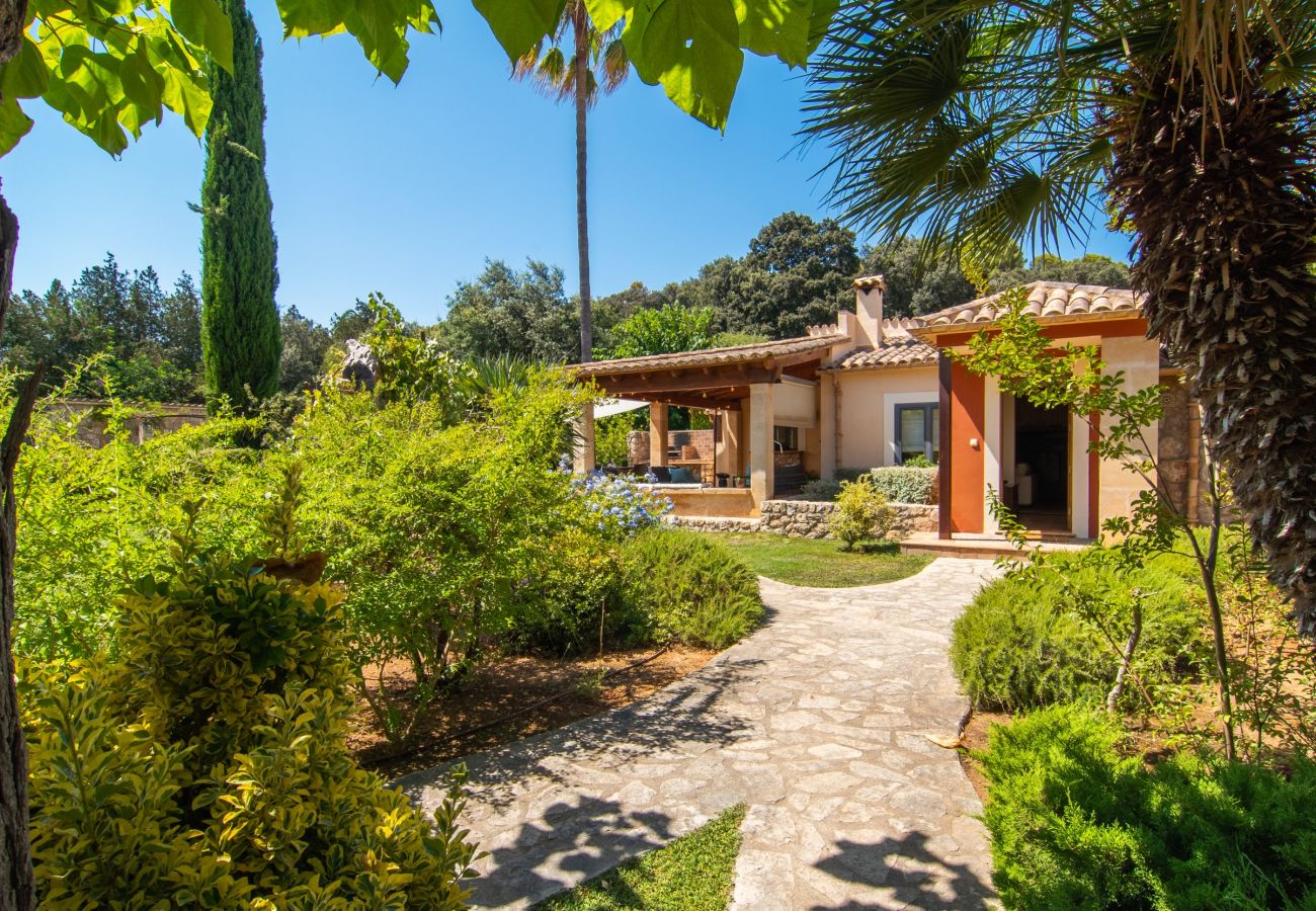 Villa in Pollensa - Finca Cal Llenyater