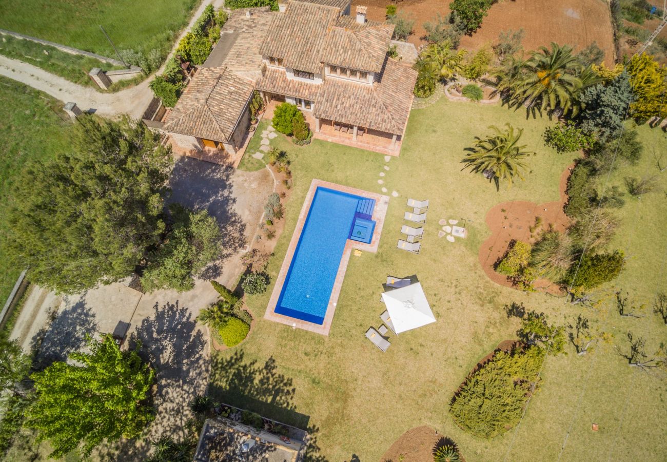 Villa in Pollensa - Finca Moliner Almadrava